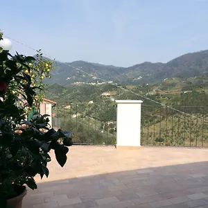 Levantotwo Bedrooms Flat With Terrace Appartamento